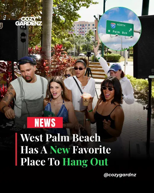 Garden District Taproom in West Palm Beach showing brunch, cocktail, video by cozygardnz on TikTok