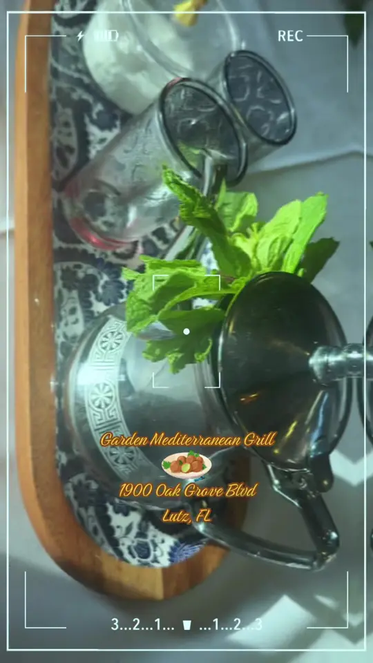 Garden Mediterranean Grill in Lutz showing food, drinks, tea, video by andybalva on TikTok