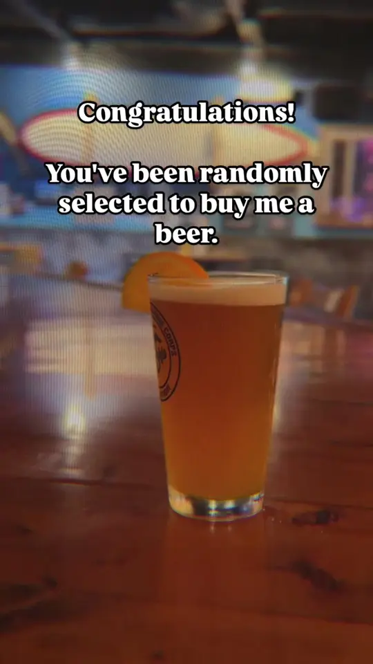 Gilligan's Island Bar & Grill in Sarasota showing visit, general, video by gilligansbar on TikTok