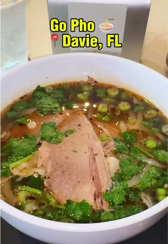  in Florida showing pho, brisket & garlic noodle bowl with shrimp & chicken, video by thetastetesttraveler on TikTok