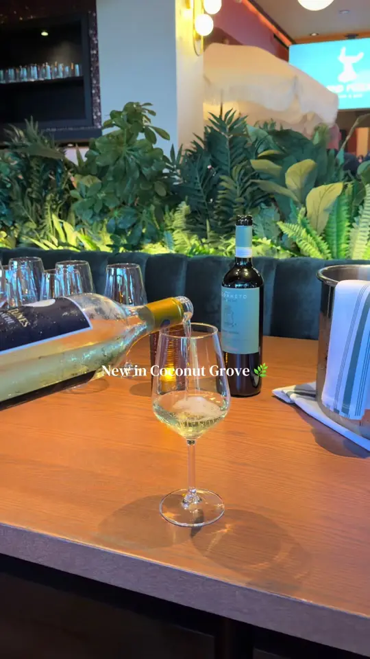 Grand Public in Miami showing cocktail, atmosphere, video by dish.miami on TikTok