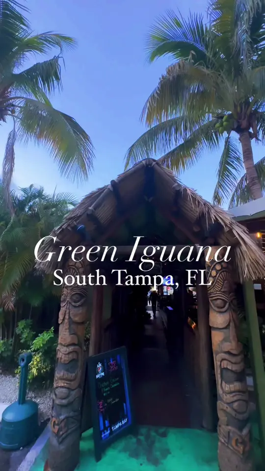 Green Iguana Bar & Grill in Tampa showing island vibes, nfl games, live music, burgers, video by thingstodotampabay on TikTok