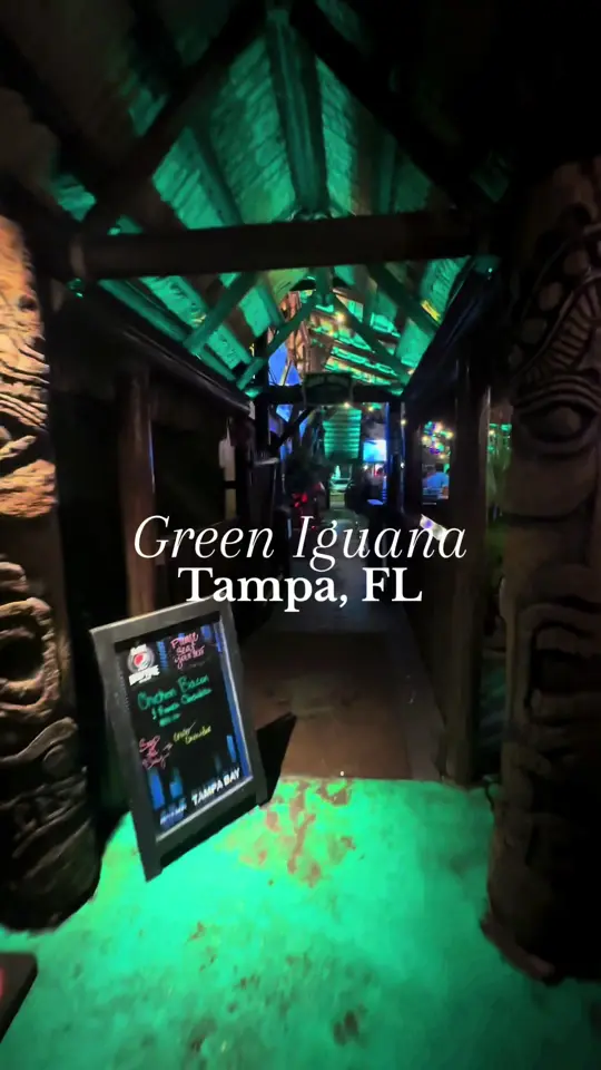 Green Iguana Bar & Grill in Tampa showing live music, atmosphere, restaurant visit, video by thingstodotampabay on TikTok