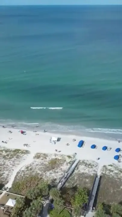 Guppy's On the Beach in Indian Rocks Beach showing review, visit, video by Guppy's on the Beach Grill & Bar on Facebook