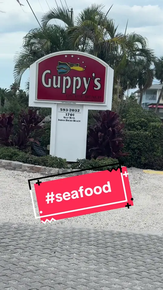 Guppy's On the Beach in Indian Rocks Beach showing seafood, shrimp, beach atmosphere, vacation, video by mamawtammystiktok on TikTok