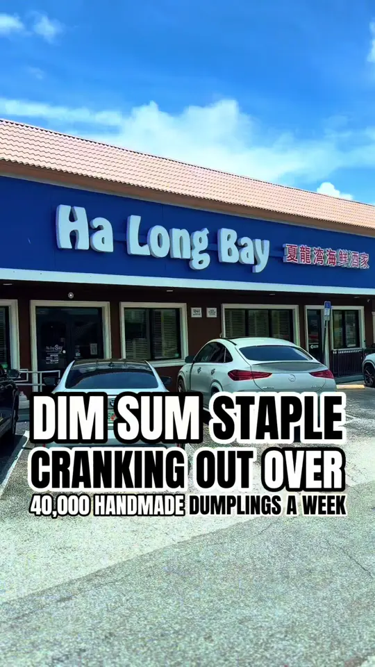 Ha Long Bay New Tampa in Tampa showing dim sum, lobster dumplings, sharing dishes, video by tampabayisawesome on TikTok