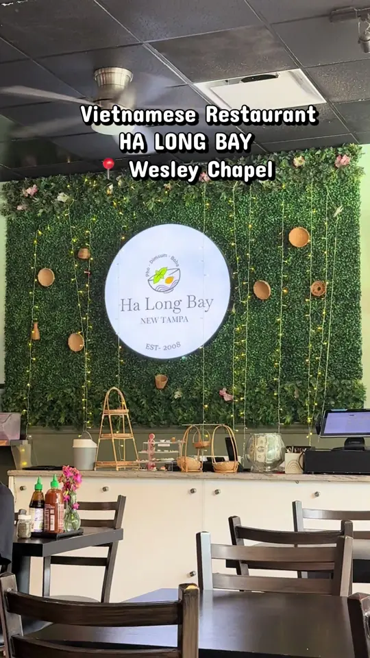 Ha Long Bay New Tampa in Tampa showing food, pho, food, bánh mì, appetizers, vermicelli bowls, drinks, boba drinks, coffee, vietnamese iced coffee, video by tampalife1 on TikTok