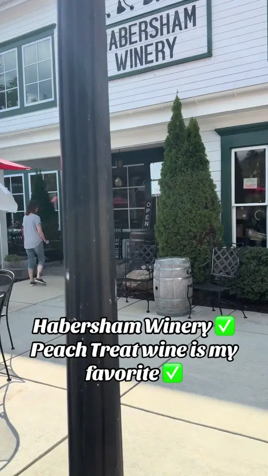 Habersham Winery in Helen showing visit, wine, video by louannschultz on TikTok