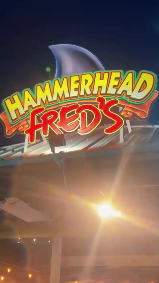 Hammerhead Fred's on TikTok, video by mermaidbeachadventures