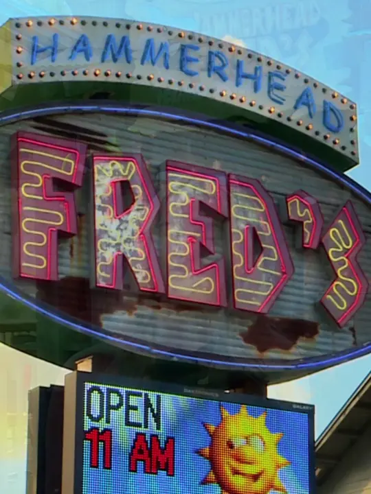 Hammerhead Fred's on TikTok, video by beachtvpcb