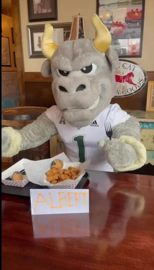Hank's Catfish & BBQ in Tampa showing food, gator tail, video by rockyd_bull on TikTok