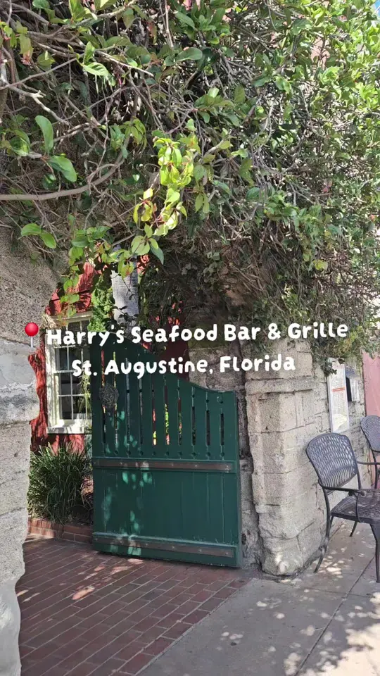 Harry's Seafood, Bar & Grille in St. Augustine showing lunch, seafood, video by adventurouslivv on TikTok