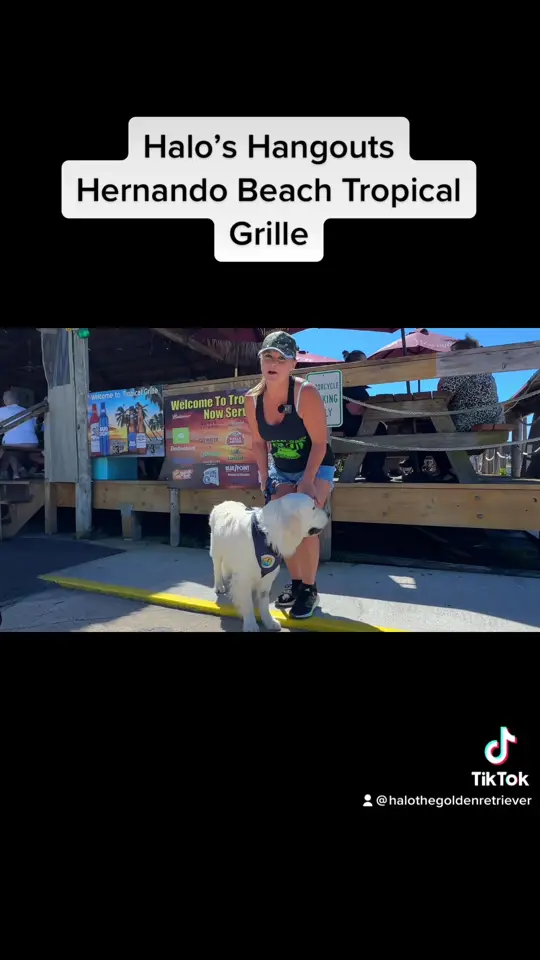 Hernando Beach Tropical Grille in Hernando Beach showing review, visit, atmosphere, fresh seafood, juicy steaks, tropical cocktails, video by fladventurecoast on TikTok