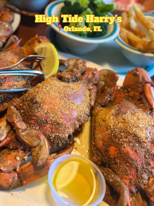 High Tide Harry's in Orlando showing review, visit, video by marshaye_andrea on TikTok