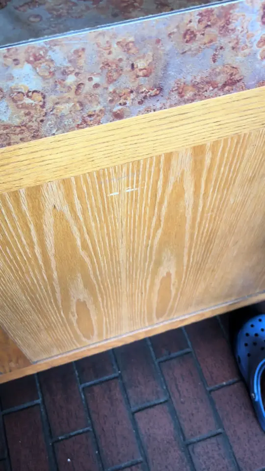 Hog Heaven Bar B-Q in Daytona Beach showing review, visit, video by natibbyyy on TikTok