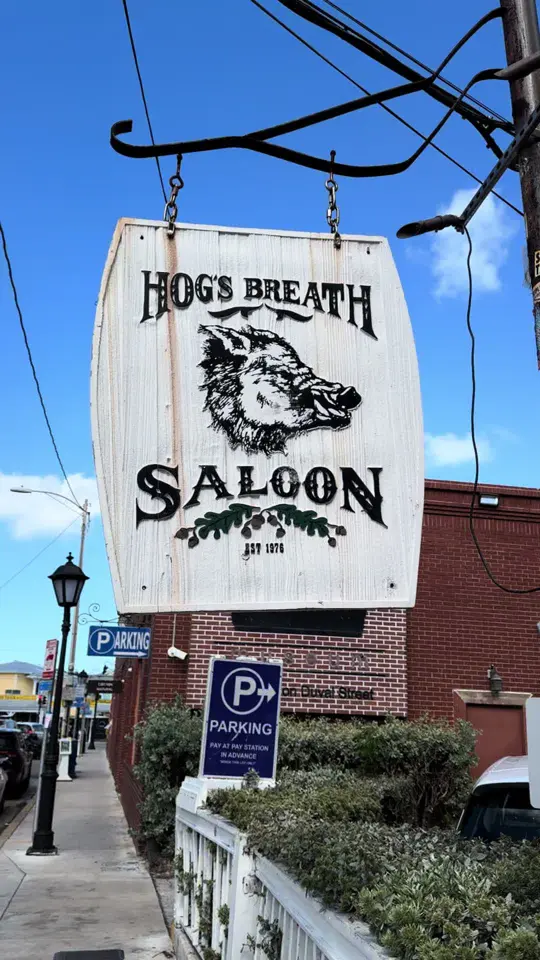 Hog's Breath Saloon in Key West showing live music, atmosphere, visit, video by backyardsofkeywest on TikTok