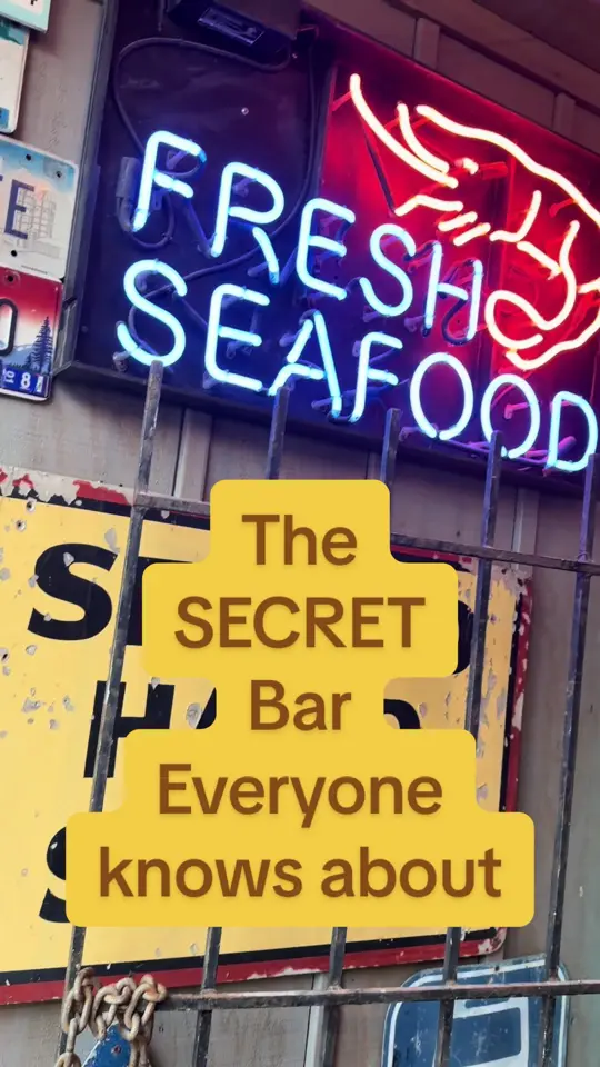 Hogfish Bar & Grill in Stock Island showing bar, seafood, cocktails, live music, atmosphere, visit, video by keywestshawn on TikTok
