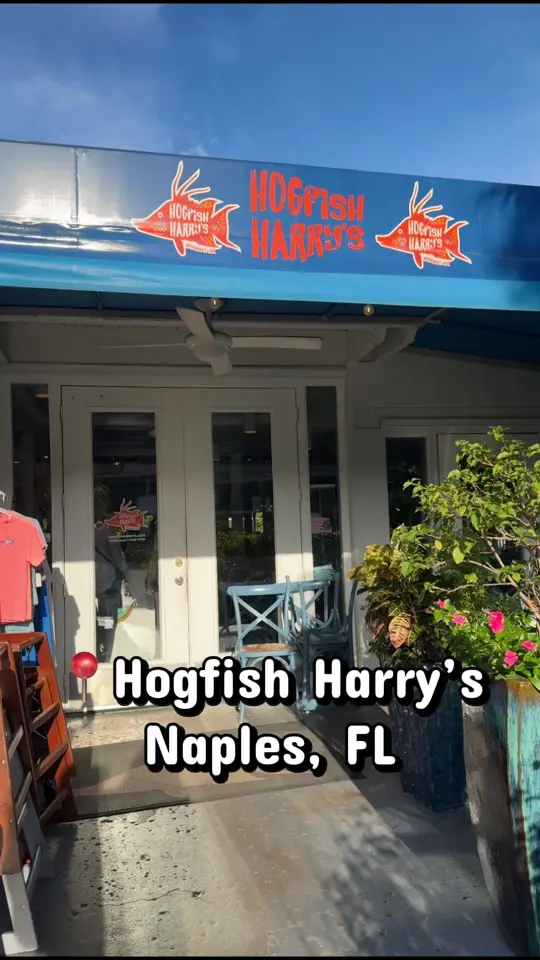 Hogfish Harry's Restaurant + Bar in Naples showing review, visit, atmosphere, video by oklahomagirly22 on TikTok