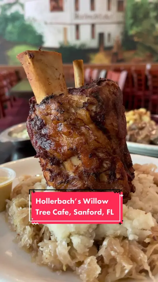 Hollerbach's Willow Tree Cafe in Sanford showing restaurant visit, german food, schnitzel, potato pancakes, sausage, sandwiches, video by doorlandonorth on TikTok