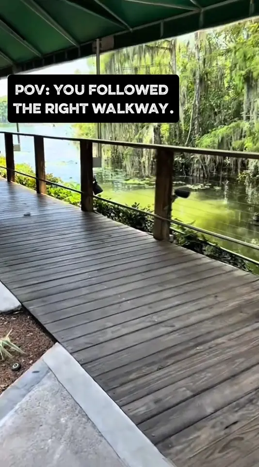  in Florida showing cocktail, atmosphere, video by Hurricane Dockside Grill on Facebook