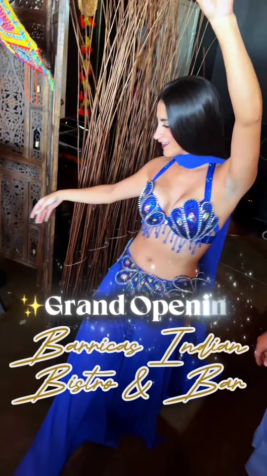 Indian Bistro in St. Pete Beach showing grand opening, buffet, a la carte menu, authentic indian dishes, video by ltxfoodie on TikTok
