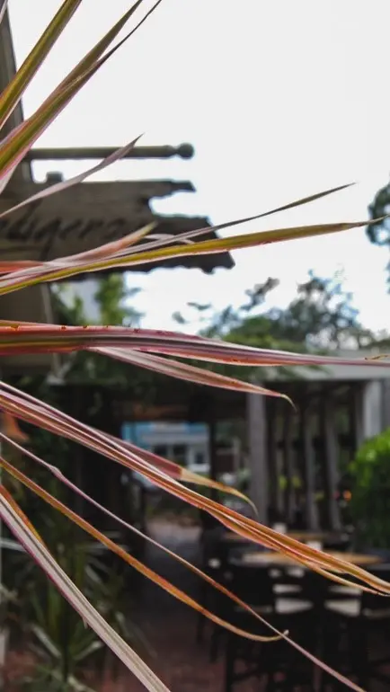 in Florida showing review, visit, atmosphere, bar seating, wine cottage, intimate tables, video by Indigenous on Facebook