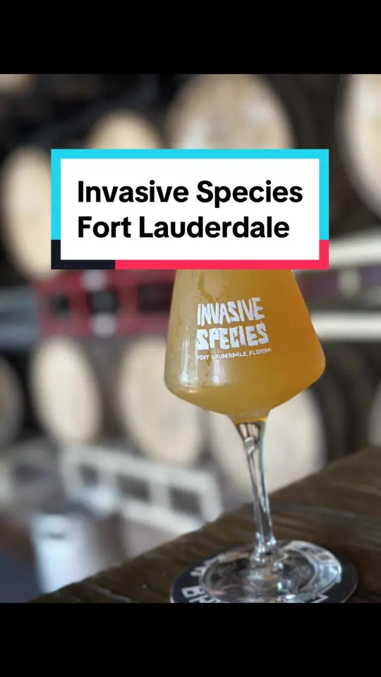 Invasive Species Brewing + Distilling in Fort Lauderdale showing brewery visit, beer, back patio, video by drunkyinkentucky on TikTok