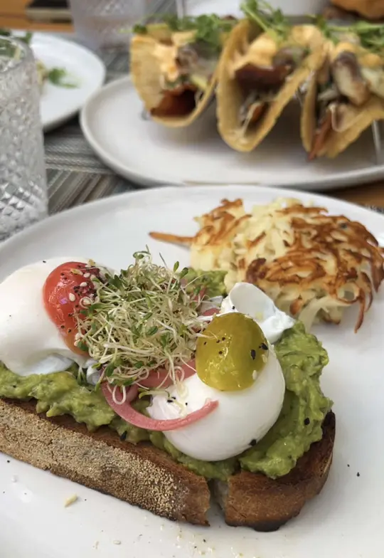 Isabelle's Coconut Grove in Miami showing brunch, mimosas, bellinis, wood-fired pizzettas, chicken and waffle tacos, video by residentmagazine on TikTok