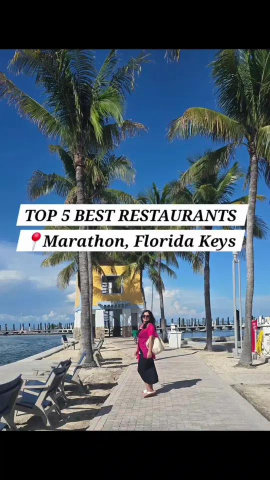 Island Fish Company in Marathon showing restaurant review, food guide, seafood, video by dihanfamilytravels on TikTok