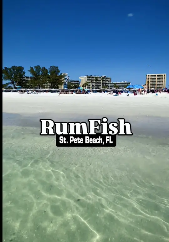 Island Grand At Tradewinds in St. Pete Beach showing resort, beach, aquarium, restaurant, video by thingstodotampabay on TikTok