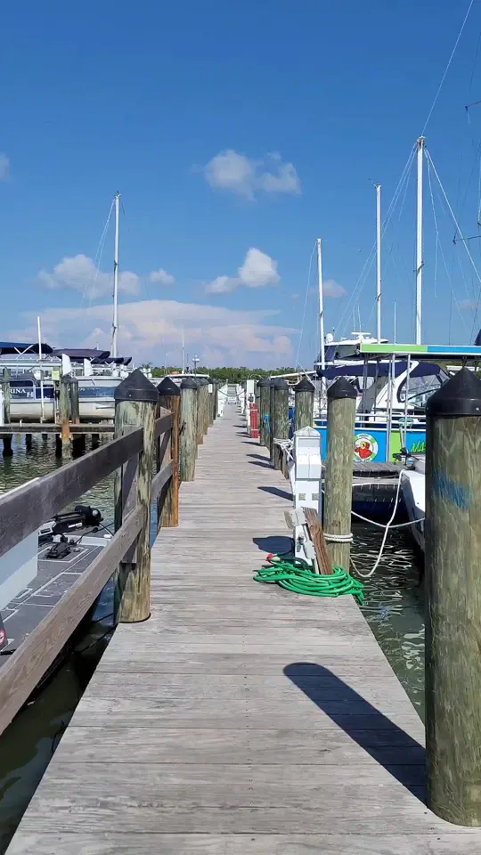 Island Gypsy Cafe & Marina Bar in Naples showing food, lobster 'n'euben, video by concernedcook on TikTok