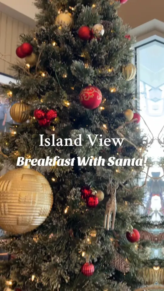 Island View Restaurant in Sebring showing holiday event, breakfast with santa, family fun, video by Island View Restaurant & Pub on Facebook