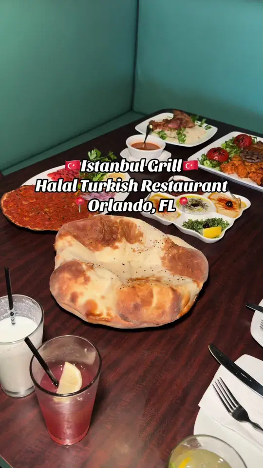 Istanbul Grill in Orlando showing review, visit, food, mixed appetizer plate, labneh, hummus, video by halalrox on TikTok