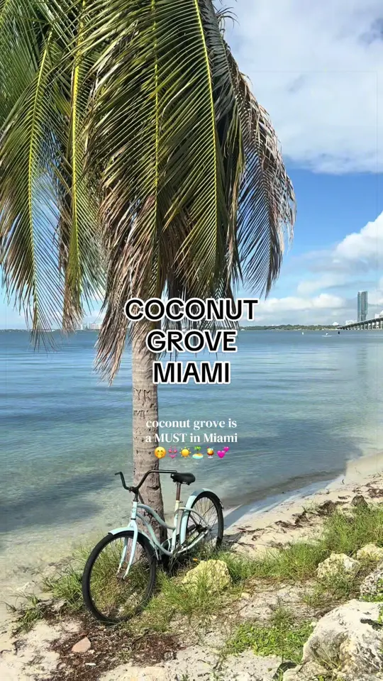  in Florida showing dinner spot, latin-inspired dishes, margaritas, video by carmengriffith on TikTok