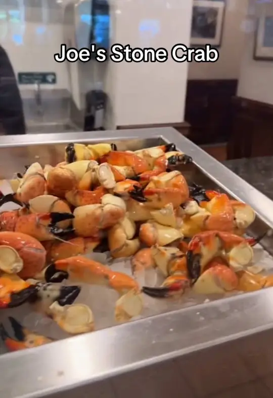  in Florida showing dinner, food review, video by bethennyfrankel on TikTok