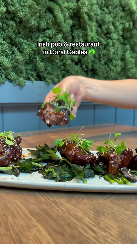  in Florida showing food, irish nachos / food, fish & chips / food, chicken wings, video by thehungrypost on TikTok
