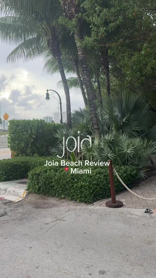 Joia Beach in Miami showing review, visit, video by shaneealluraa on TikTok