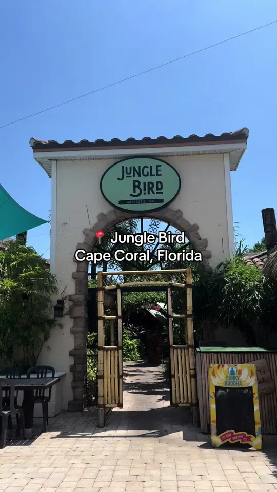 Jungle Bird Tiki in Cape Coral showing visit, tiki themed bar & restaurant, video by cmaelife on TikTok
