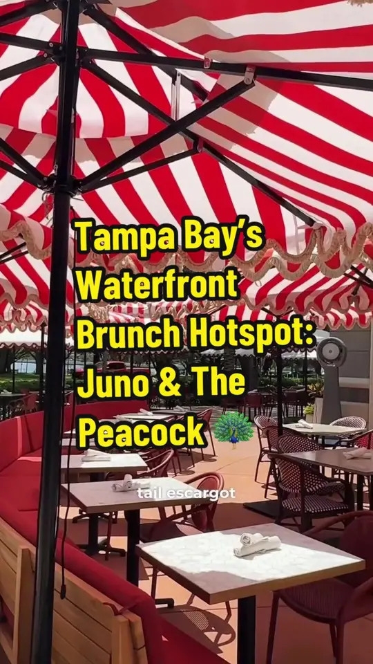 Juno & The Peacock in St. Petersburg showing review, visit, atmosphere, cocktail lounge, steak, wine, video by socialshepherdadventures on TikTok
