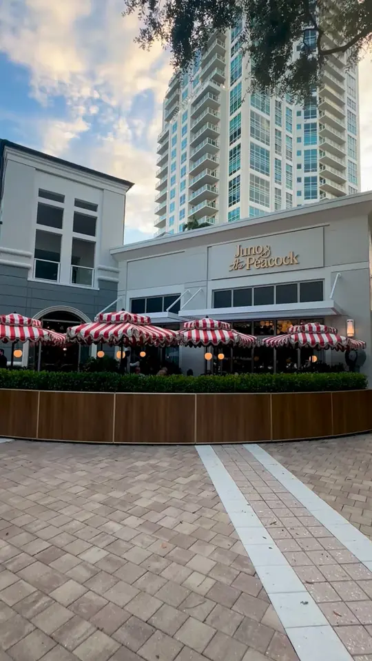 Juno & The Peacock in St. Petersburg showing restaurant, upscale elegant restaurant, new american coastal menu, fresh seafood, poultry, steak, craft cocktails, wine selection, video by Things To Do Tampa Bay on Facebook