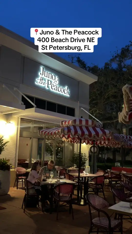 Juno & The Peacock in St. Petersburg showing review, visit, video by thetampabayguide on TikTok