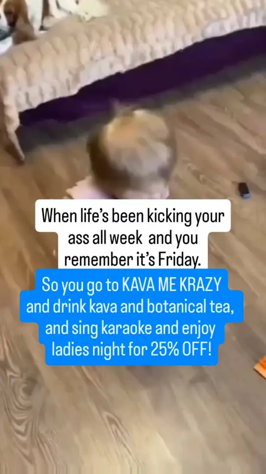 Kava Me Krazy in Jensen Beach showing kava, nonalcoholic drinks, sober bar, community, video by Kava Me Krazy on Facebook