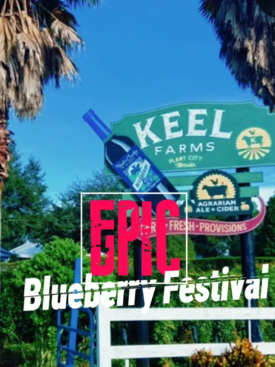 Keel Farms Agrarian at Keel Farms in Plant City showing blueberry wine, festival, video by jakefever_drinkreviews on TikTok