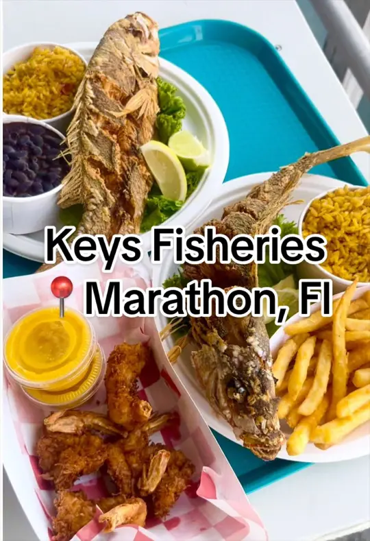 Keys Fisheries in Marathon showing review, visit, video by socialonthemedia on TikTok
