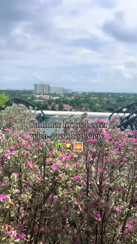  in Florida showing review, visit, coastal italian dining, rooftop pool, rooftop cocktails, video by nursejessica372 on TikTok