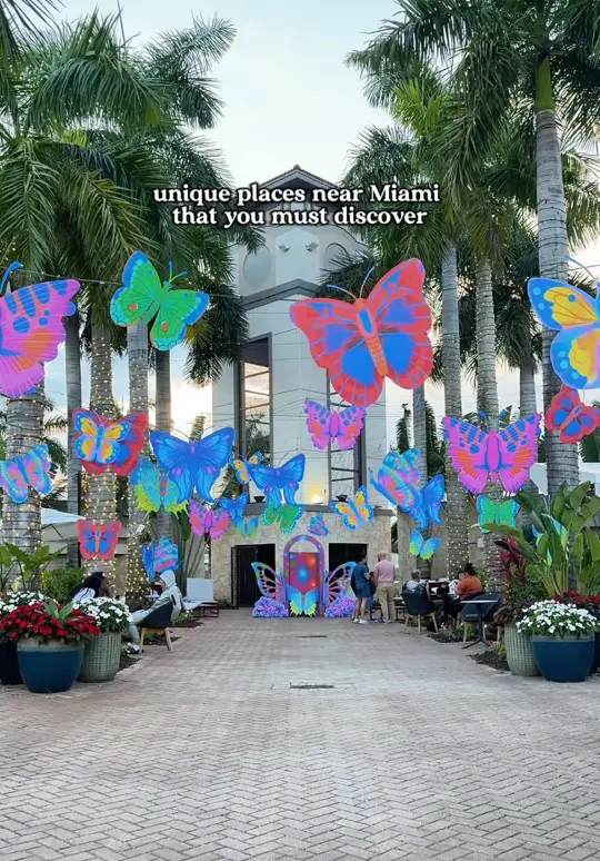 La Granja on TikTok, video by miamiwonderful