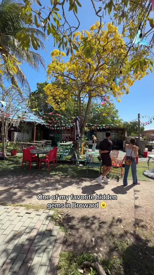 La Mexicana Taco Bar in Wilton Manors showing review, visit, atmosphere, cafe, tacos, video by thebrowardscene on TikTok