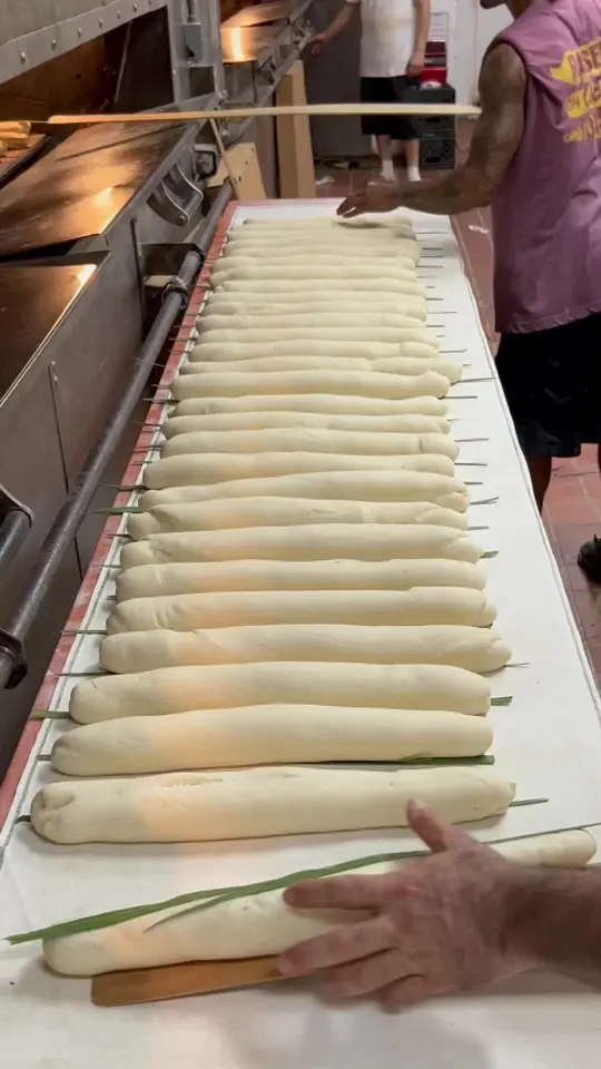 La Segunda Bakery and Cafe in St. Petersburg showing cuban sandwich, cuban bread, bakery visit, video by godfatherofmeat on TikTok