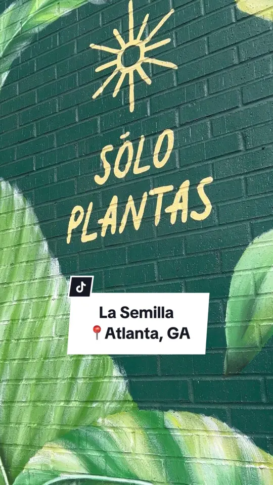 La Semilla in Atlanta showing food, sikil park, food, squash empanada, food, esquites, food, carne asada tacos, food, cochinito pibil tacos, food, frituras, video by geecheegirlvegan on TikTok