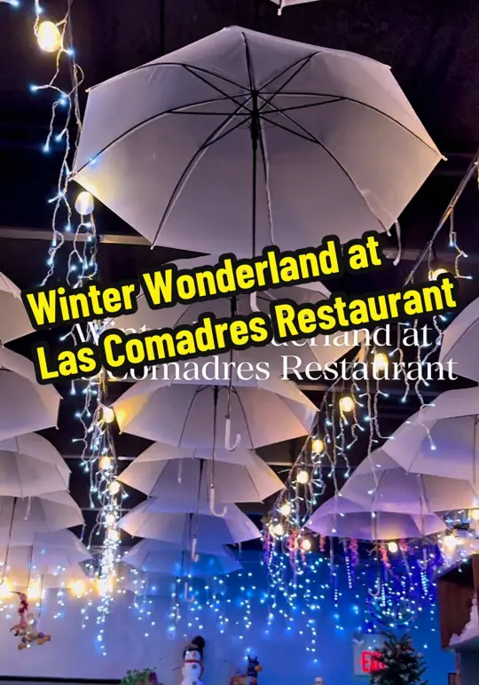 Las Comadres Restaurante Mexicano y Marisqueria in Lake Alfred showing review, atmosphere, video by gata.lovestacos on TikTok